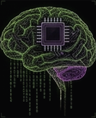 Intelligence
